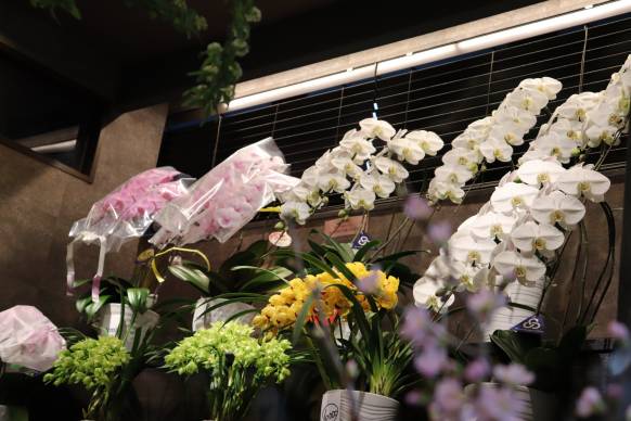 「セイミヤ花店うすい本店」　（千葉県佐倉市）の花屋店舗写真4